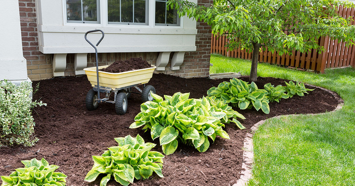 4 Ways to Spruce Up Your Garden Before You Sell_Blog